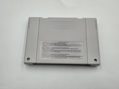 SNES Super Nintendo Aguri Suzuki F-1 Super Driving mit OVP und Anleitung FAH
