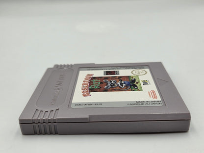 Nintendo Game Boy Classic Spiel Reservoir Rat Modul EUR - T-Retro-Games 