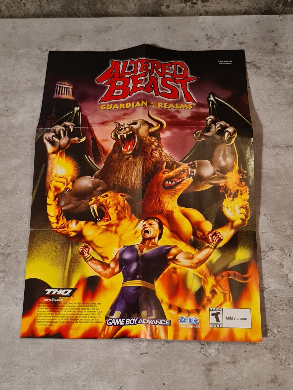 Nintendo Game Boy Advance Altered Beast mit OVP und Anleitung + Poster USA - T-Retro-Games 