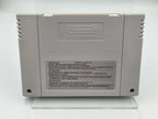 SNES Super Nintendo Skyblazer Modul FAH