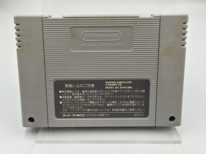 SFC Super Famicom NTSC-J Fatal Fury Garou Densetsu Modul Japan