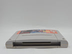 SNES Super Nintendo Spiel Best of The Best Championship Karate FAH Modul