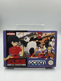 SNES Super Nintendo Spiel Ranma 1/2 mit OVP und Anleitung UKV