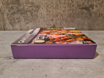 Nintendo Gameboy Advance The Muppets On with the Show! mit OVP und Anleitung USA - T-Retro-Games 