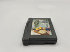 Nintendo Game Boy Advance Lady Sia Modul EUR