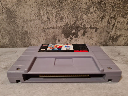 SNES Super Nintendo Earthworm Jim NTSC USA Modul - T-Retro-Games 