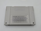 Super Nintendo Michael Jordan Chaos in the Windy City mit OVP und  Anleitung NOE