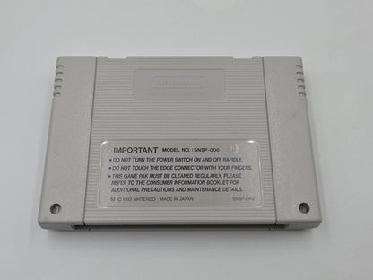 Super Nintendo Michael Jordan Chaos in the Windy City mit OVP und  Anleitung NOE