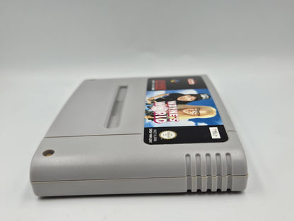 SNES Super Nintendo Wayne's World Modul UKV