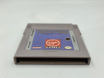 Nintendo Game Boy Classic Spiel Prince of Persia Modul USA