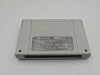 SFC Super Famicom World Heroes mit OVP Japan