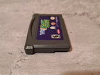 Nintendo Gameboy Advance Tiny Toon Adventures Scary Dreams Modul USA - T-Retro-Games 
