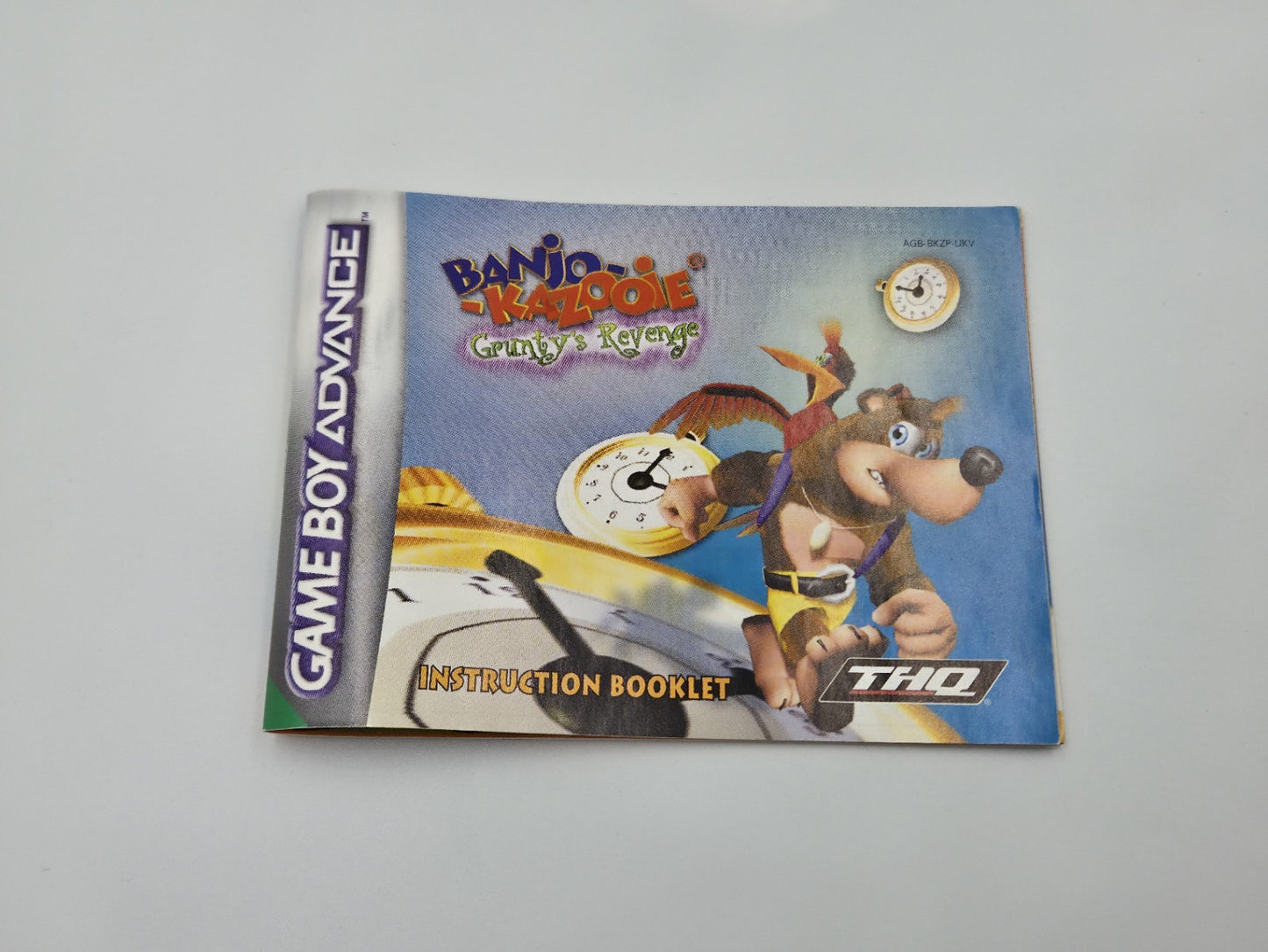 Nintendo Game Boy Advance Banjo Kazooie Grunty's Revenge + OVP und Anleitung UKV