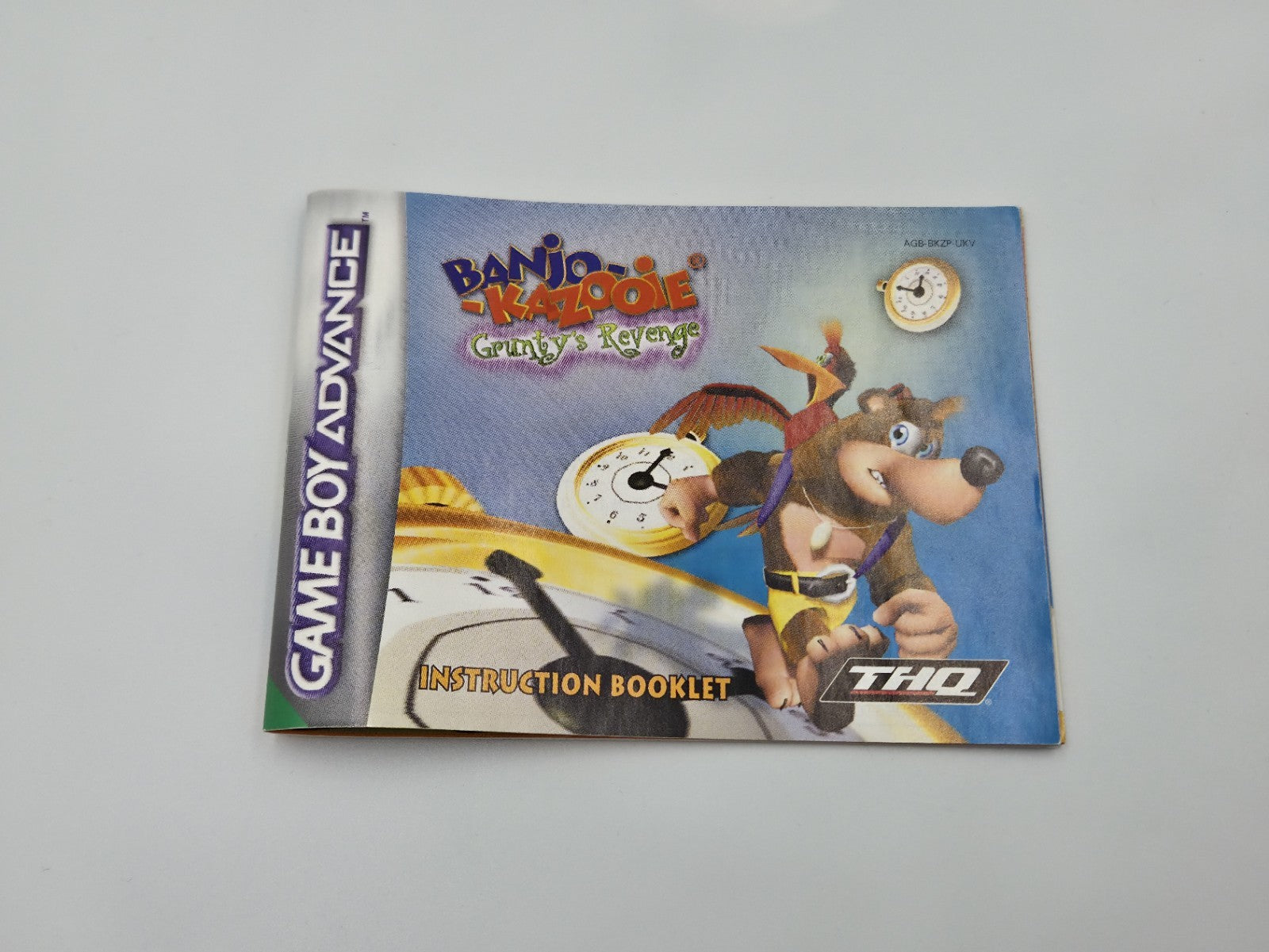 Nintendo Game Boy Advance Banjo Kazooie Grunty's Revenge + OVP und Anleitung UKV