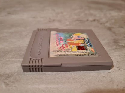 Nintendo Gameboy Classic The Addams Family Pugsley's Scavenger Hunt Modul NOE - T-Retro-Games 