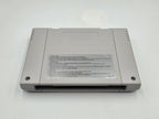 SNES Super Nintendo Double Dragon V The Shadow Falls mit OVP und Anleitung EUR