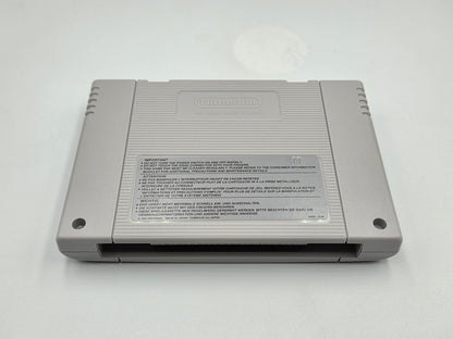 SNES Super Nintendo Double Dragon V The Shadow Falls mit OVP und Anleitung EUR