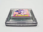 Nintendo Game Boy Color Paperboy EUR Modul - T-Retro-Games 