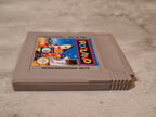 Nintendo Game Boy Classic Spiel Rodland Modul FRG - T-Retro-Games 