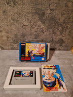 SNES Super Nintendo Dragon Ball Z La Legende Saien mit OVP und Anleitung FRA - T-Retro-Games 