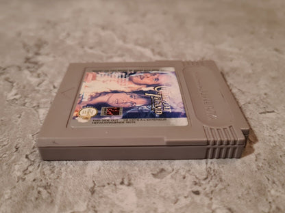 Nintendo Game Boy Classic Spiel Cutthroat Island Modul EUR - T-Retro-Games 