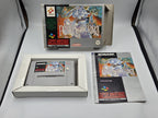 SNES Super Nintendo Prince of Persia mit OVP und Anleitung NOE