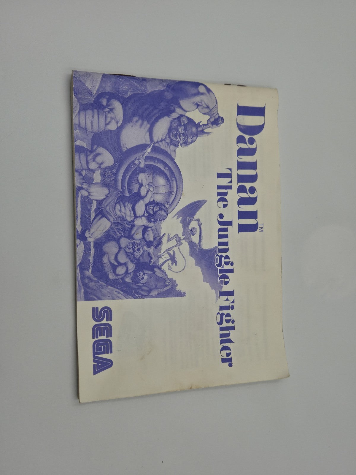 Sega Master System Danan The Jungle Fighter mit OVP und Anleitung Multilingual 