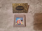 Nintendo Gameboy Classic The Addams Family Pugsley's Scavenger Hunt Modul USA - T-Retro-Games 