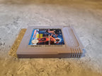 Nintendo Gameboy Classic Spiel Best of The Best Championship Karate Modul FAH - T-Retro-Games 