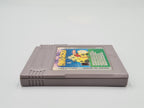 Nintendo Game Boy Classic Spiel Alfred Chicken Modul NOE - T-Retro-Games 