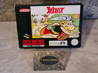 SNES Super Nintendo Asterix mit OVP und Anleitung NOE - T-Retro-Games 