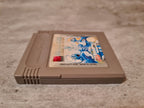 Nintendo Gameboy Classic Spiel Die Schlümpfe Reisen Um Die Welt Modul NOE - T-Retro-Games 