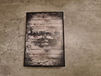 XBOX360 Assasin's Creed III Join or Die Limited Edition OVP - T-Retro-Games 