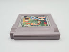 Nintendo Game Boy Classic Spiel Earthworm Jim Modul EUR - T-Retro-Games 