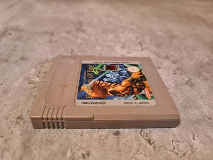 Nintendo Gameboy Classic Spiel Fortress of Fear Modul NOE - T-Retro-Games 