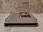 Nintendo NES Donkey Kong 3 Arcade Classics Series Modul FRA - T-Retro-Games 