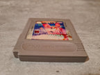 Nintendo Gameboy Classic Spiel Mouse Trap Hotel Modul USA - T-Retro-Games 