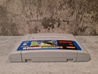 SNES Super Nintendo Sensible Soccer European Champions Modul FAH - T-Retro-Games 