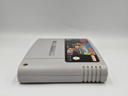 Super Nintendo Donkey Kong Country 3 Dixie Kong's Double Trouble! Modul EUR
