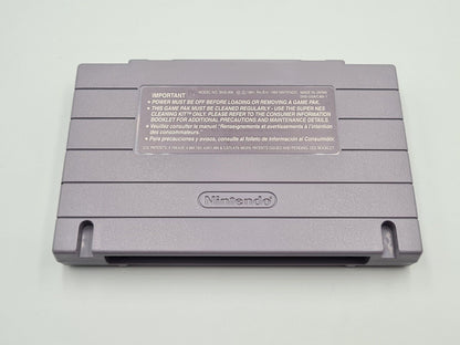SNES Super Nintendo Art of Fighting mit OVP und Anleitung NTSC-USA - T-Retro-Games 