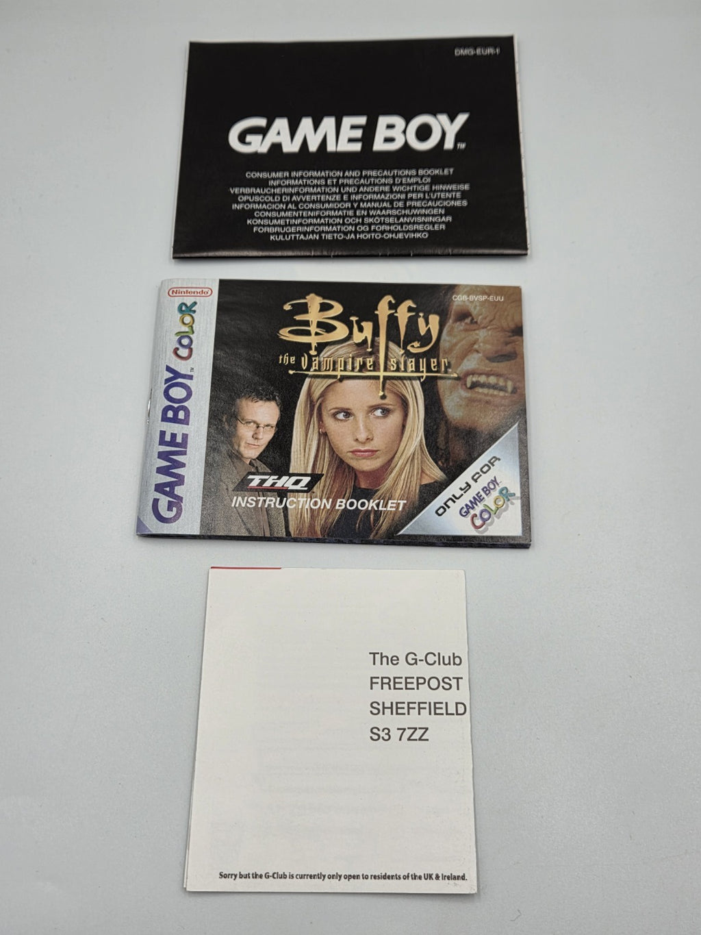 Nintendo Game Boy Color Buffy The Vampire Slayer mit OVP und Anleitung EUR