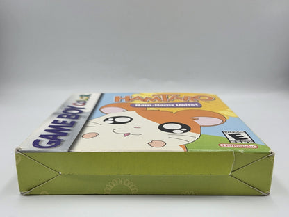 Nintendo Game Boy Color Hamtaro Ham-Hams Unite! mit OVP und Anleitung USA