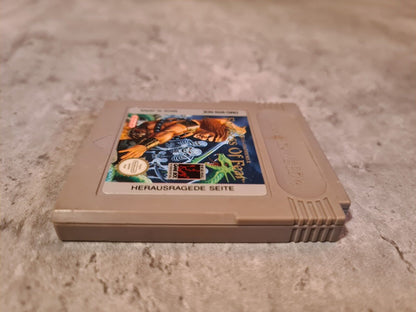 Nintendo Gameboy Classic Spiel Fortress of Fear Modul NOE - T-Retro-Games 