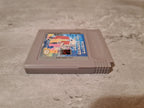 Nintendo Gameboy Classic The Addams Family Pugsley's Scavenger Hunt Modul USA - T-Retro-Games 