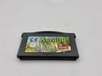Nintendo Game Boy Advance Arthur and the Invisibles mit OVP und Anleitung EUR
